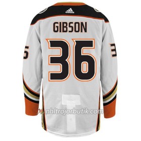 Män Ishockey Anaheim Ducks Tröja JOHN GIBSON 36 Adidas Vit Authentic